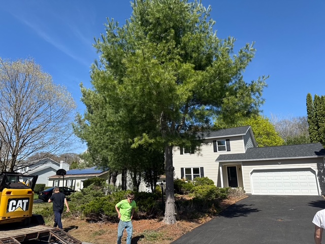 Landscape work